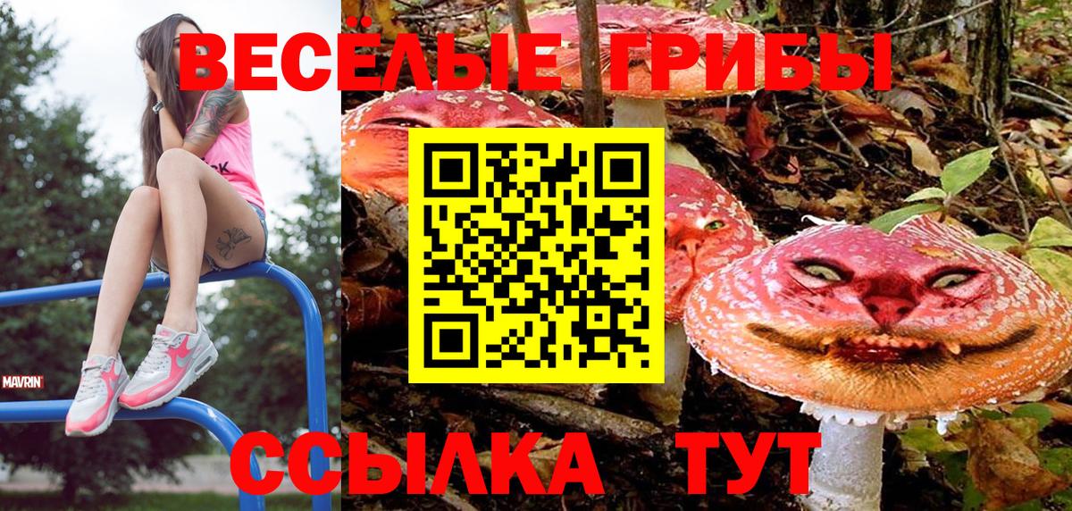 Псилоцибиновые грибы прущие грибы  Галлюциногенные грибы Cubensis  Новочебоксарск  продажа наркотиков  Вход с VPN 