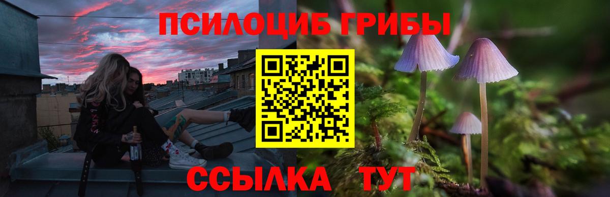 Псилоцибиновые грибы Cubensis Новочебоксарск